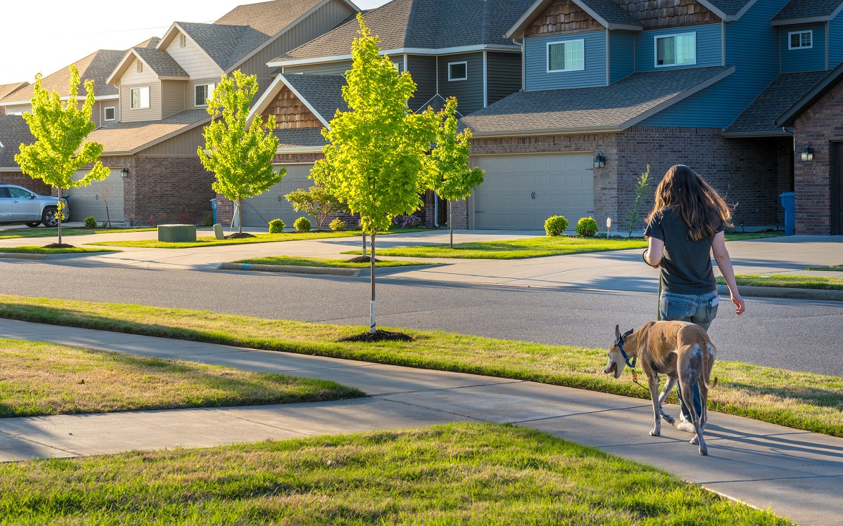 Consider Your Canines – Maintaining A Home With A Dog
