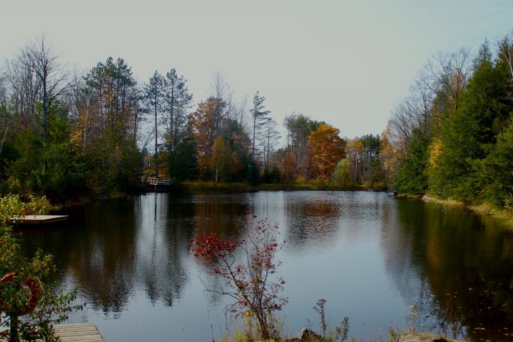 Guelph lake